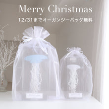 画像をギャラリービューアに読み込む, 【12/31まで】限定無料オーガンジーバッグ