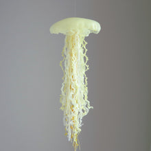 Load image into Gallery viewer, 【一点もの】005「その強さが輝きに変わるとき」 (size: M) One-of-a-kind Jellyfish 005