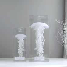 画像をギャラリービューアに読み込む, クラゲのモビールのラッピング