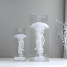 Load image into Gallery viewer, クラゲのモビールのラッピング