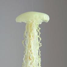 Load image into Gallery viewer, 【一点もの】005「その強さが輝きに変わるとき」 (size: M) One-of-a-kind Jellyfish 005