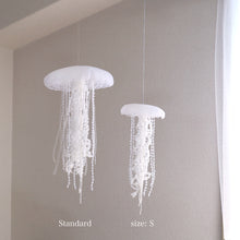 画像をギャラリービューアに読み込む, クラゲのサイズ 比較写真