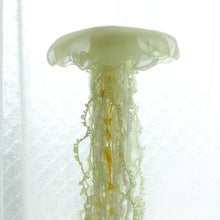 Load image into Gallery viewer, 【一点もの】005「その強さが輝きに変わるとき」 (size: M) One-of-a-kind Jellyfish 005