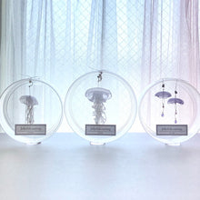 이미지를 갤러리 뷰어에 로드 , [한정] 3월 베이비 해파리 귀걸이 (2pc) 3.1 밤 9시 발매
